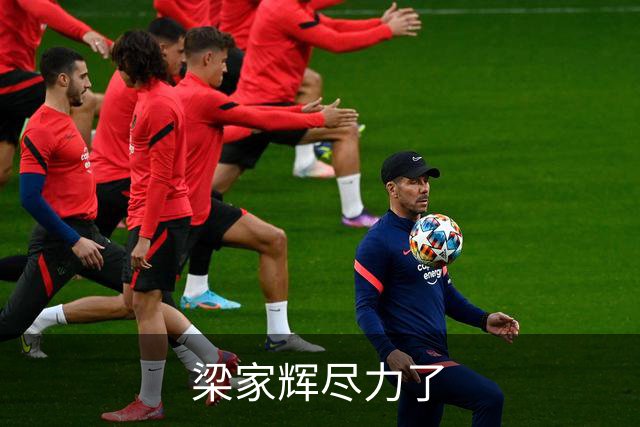 梁家辉尽力了
