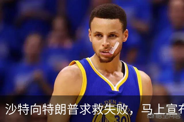 沙特向特朗普求救失败，马上宣布退出中方项目，这个选择很不明智